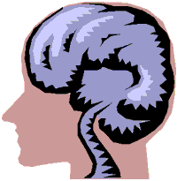 Your Brain on Phrenology